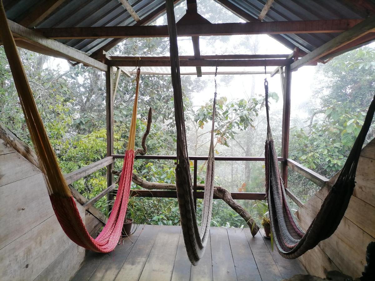 Paraiso Verde Chijou Exteriér fotografie