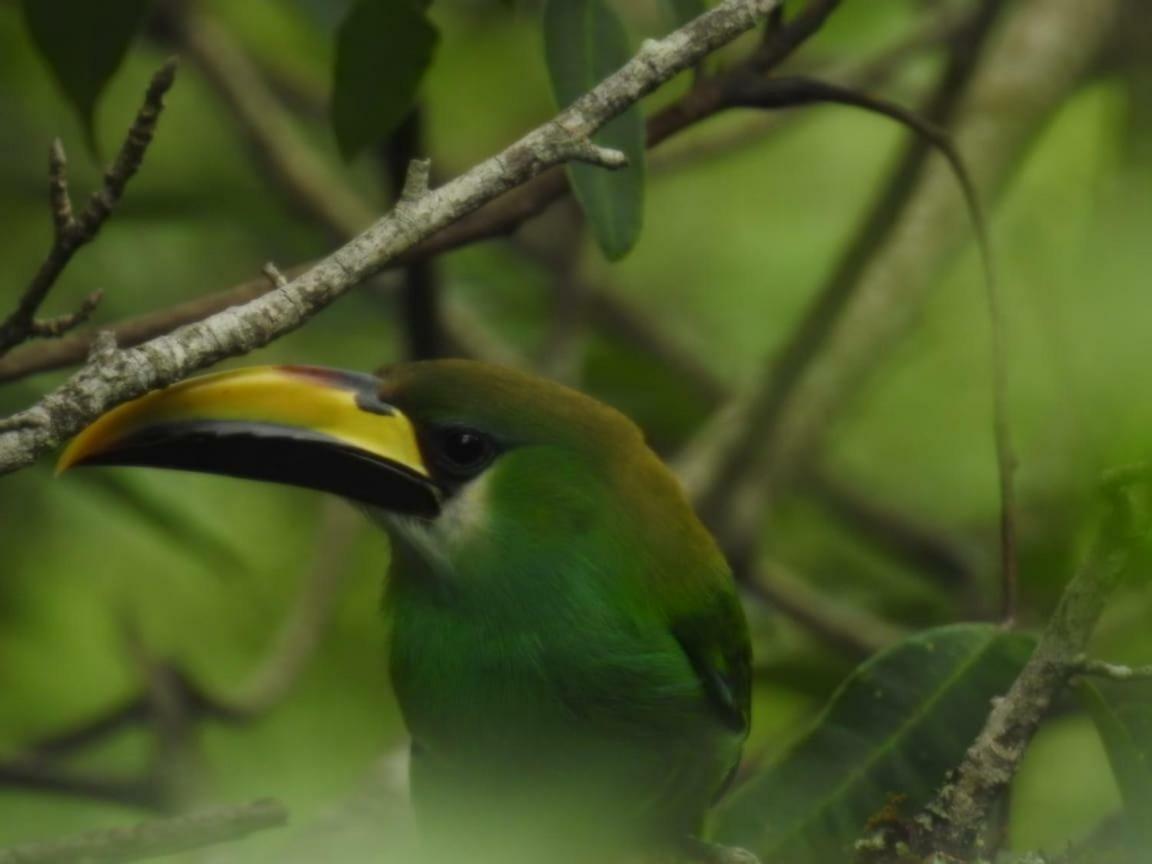 Paraiso Verde Chijou Exteriér fotografie