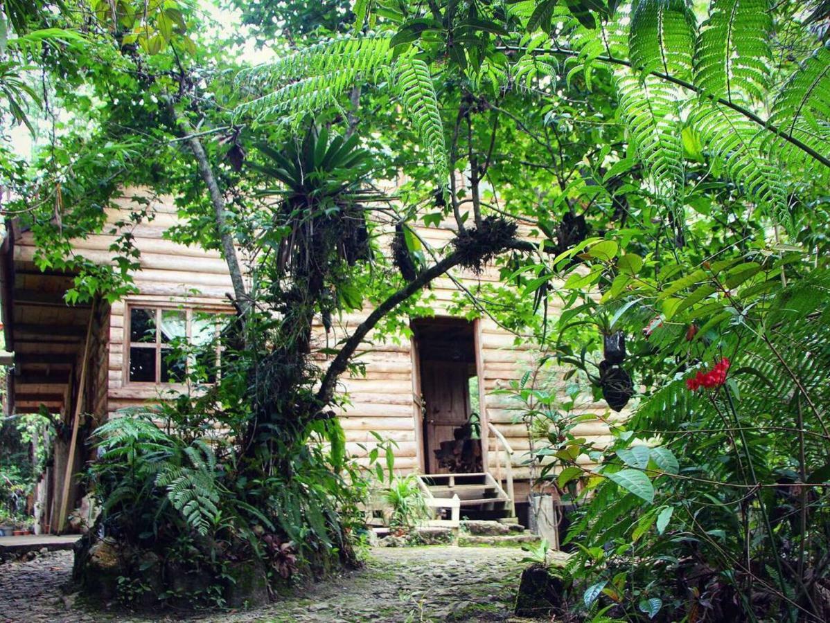 Paraiso Verde Chijou Exteriér fotografie
