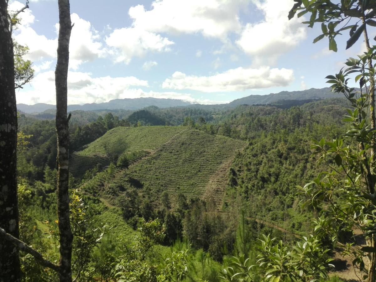 Paraiso Verde Chijou Exteriér fotografie
